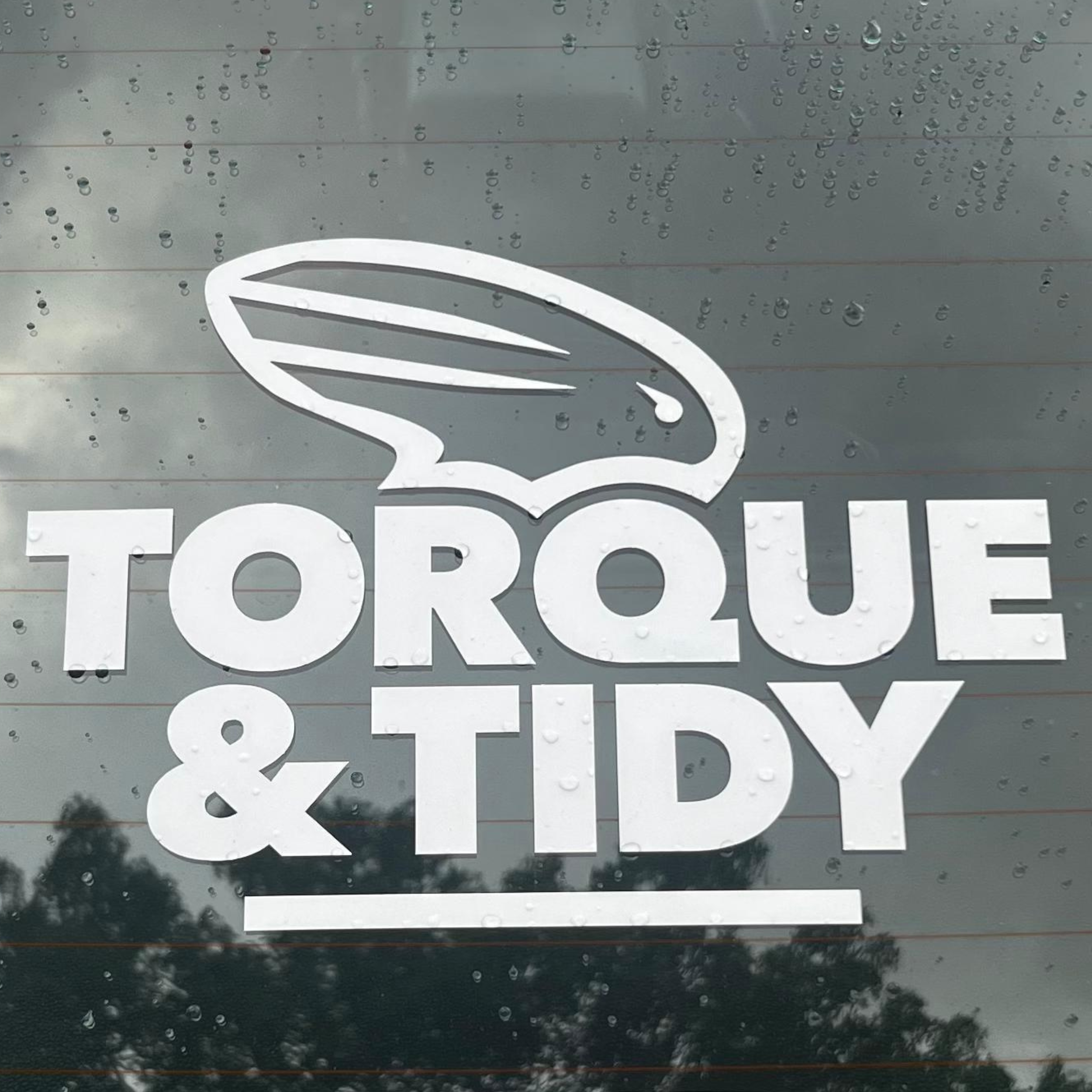 The Large Stickers (2 pack)